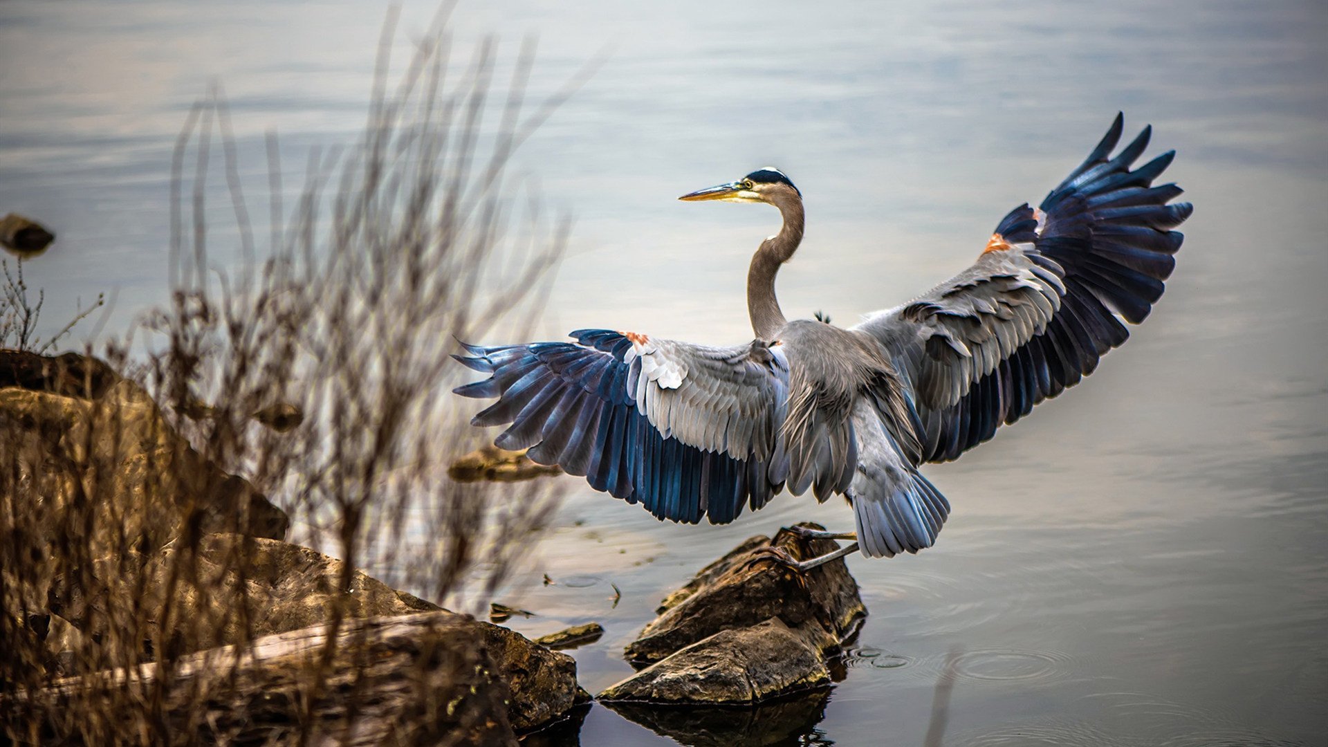 破晓之矛，莫兰特暗夜撕裂开拓者防线，国王加冕路上的一记重锤