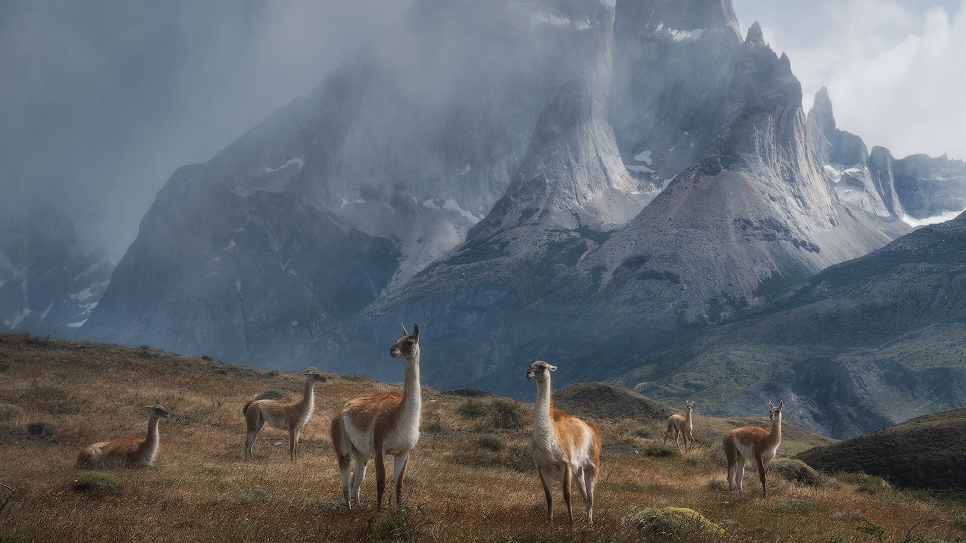 德布劳内冰与火之歌,瑞典单节风暴击碎卡塔尔幻梦