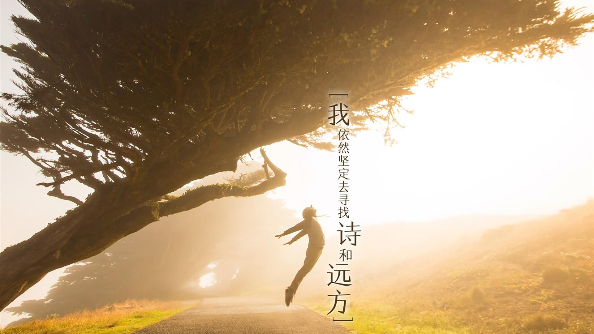 巅峰对决，猛龙铁锁困广厦，克莱寒剑定江山