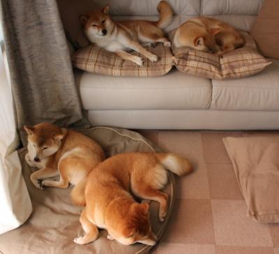 争议漩涡到球场主宰,欧文用实力击碎质疑