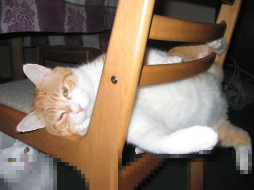 欧冠淘汰赛上的反德三部曲,尼斯力克德国,一场超越足球的文化暗战