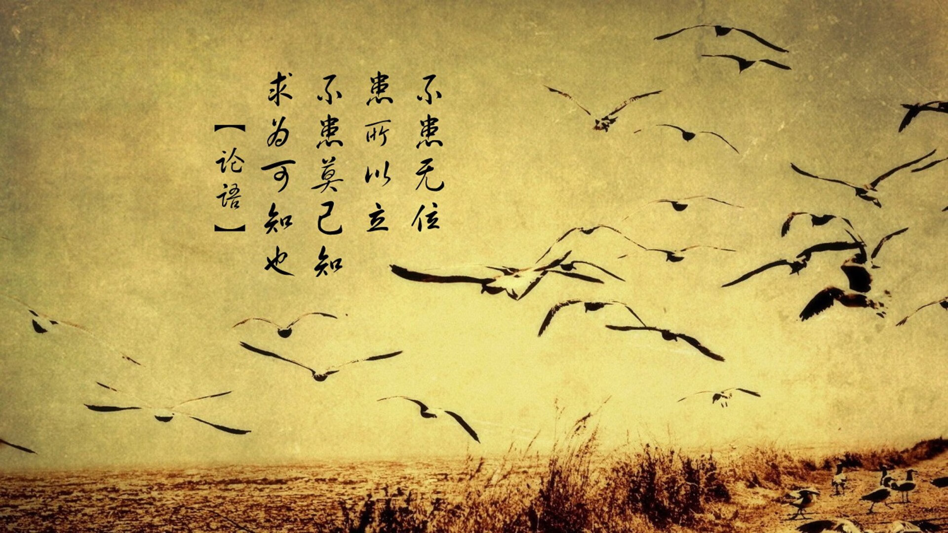 数据隐身人却是大场面先生，武切维奇一攻一防撕碎爵士