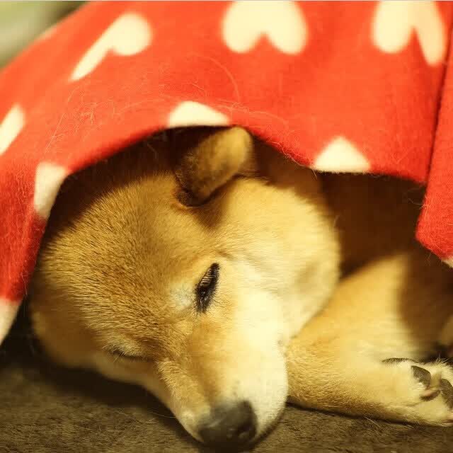 1/3000秒改写历史，2026世界杯A组的唯一绝杀与吉鲁的独角戏
