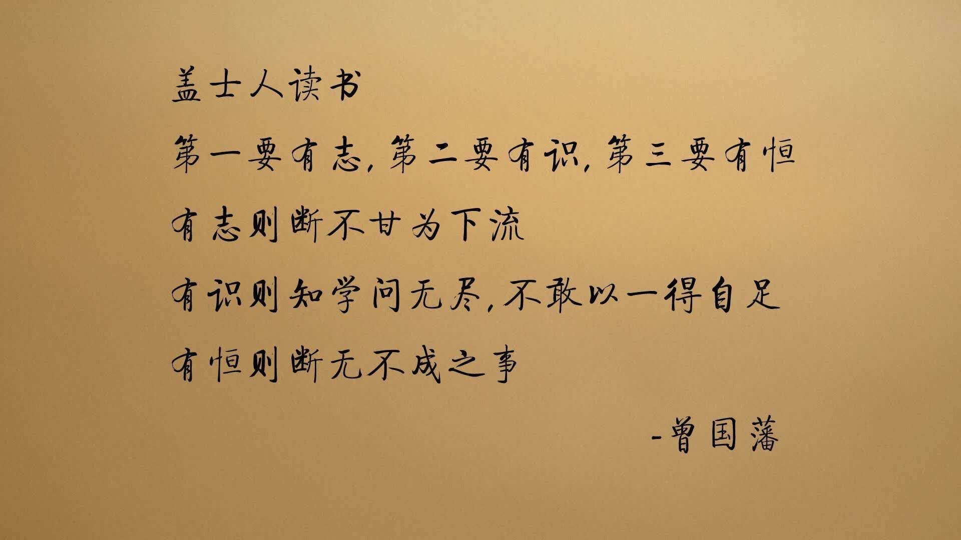 里斯本的孤星，当坎塞洛的归化与反叛，在慕尼黑上空划破德意志的夜色